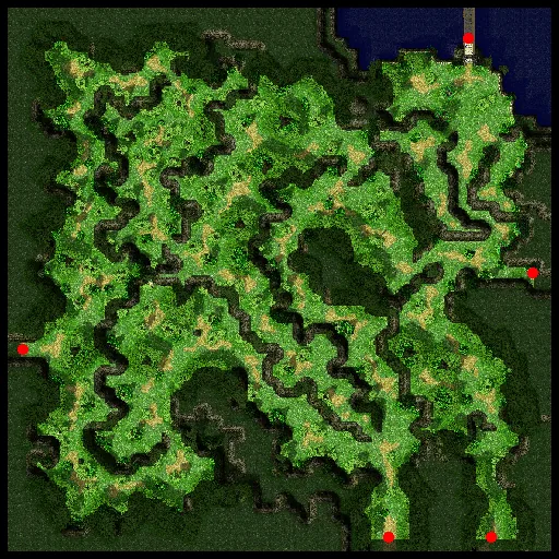 Minimap of Payon Forest
