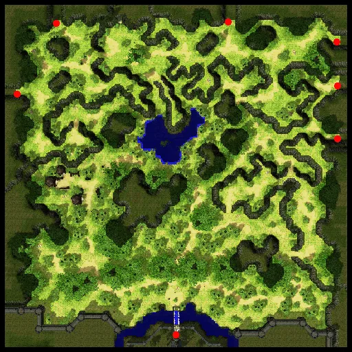 Minimap of Prontera Field