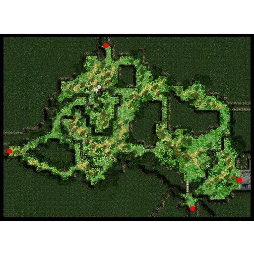 Minimap of Payon Forest