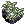 Item icon of Dew-Laden Moss