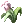Item icon of Hinalle