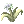 Item icon of Illusion Flower