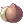 Item icon of Coconut Fruit