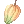 Item icon of Cacao